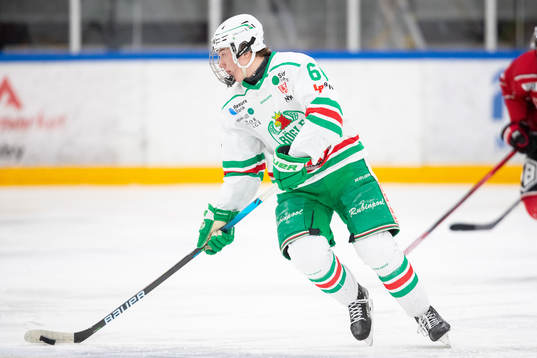Rögles Viktor Smeds