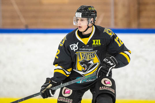Panterns Sylvester Hjerpe