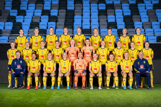 Damlandslaget i fotboll
