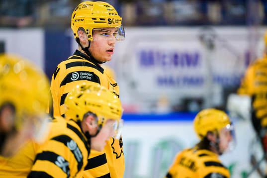 Skellefteås Albin Sundsvik