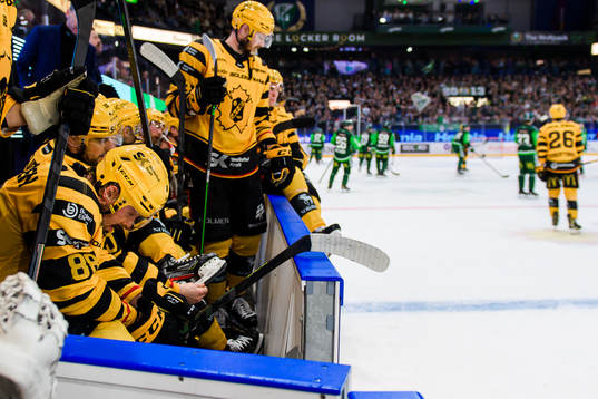 Skellefteås Jayce Hawryluk deppar