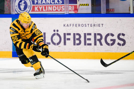 Skellefteås Rickard Hugg