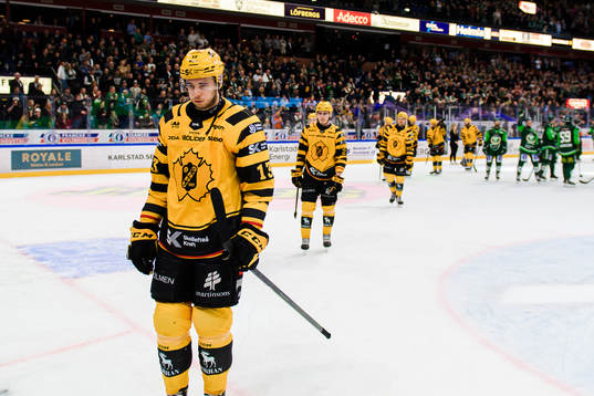 Skellefteås Stefan Loibl deppar