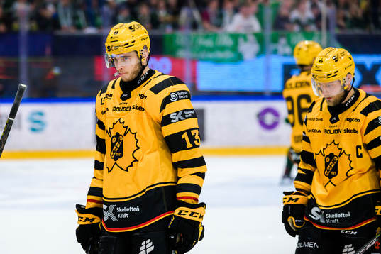 Skellefteås Stefan Loibl och Oscar Möller deppar