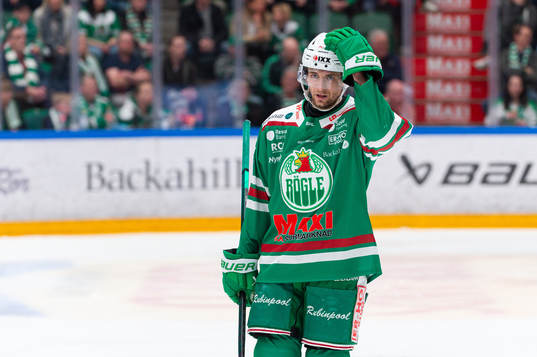 Rögles Daniel Zaar deppar
