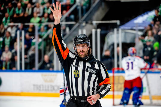Domare Mikael Sjöqvist