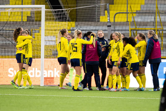 Sveriges spelare jublar
