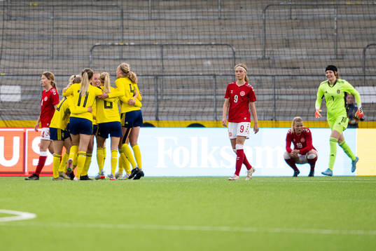 Sveriges spelare jublar