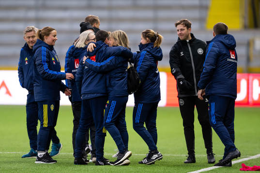 Sveriges ledare jublar