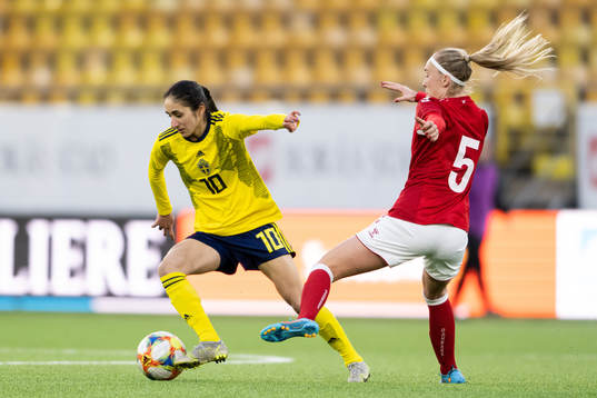 Sveriges Nesrin Akgün