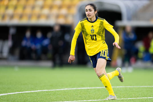 Sveriges Nesrin Akgün