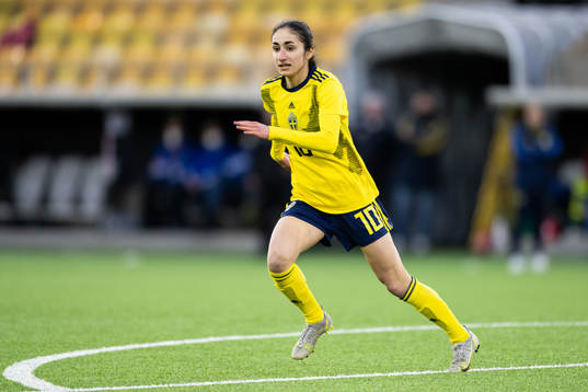 Sveriges Nesrin Akgün