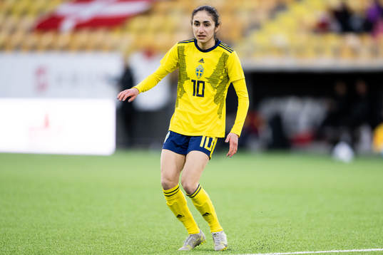 Sveriges Nesrin Akgün