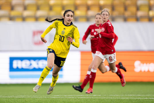 Sveriges Nesrin Akgün