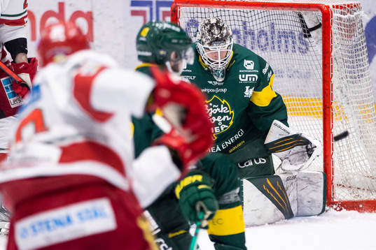 Björklövens målvakt Claes Endre