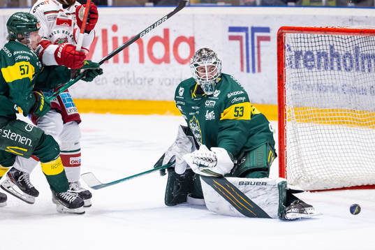 Björklövens målvakt Claes Endre