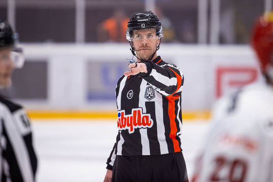 Domare Andre Hiljanen