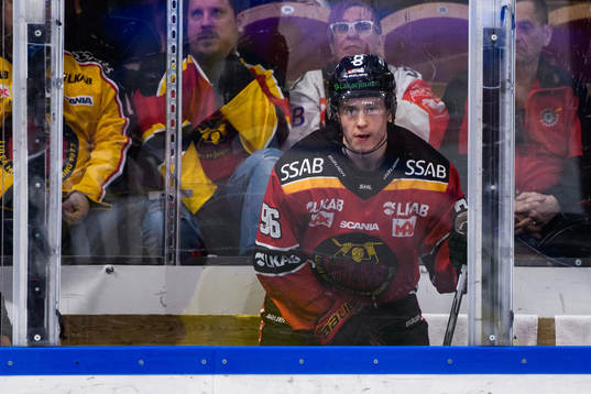Luleås Pontus Andreasson i utvisningsbåset