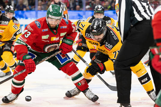 Frölundas Michael Spacek och Luleås Linus Fröberg