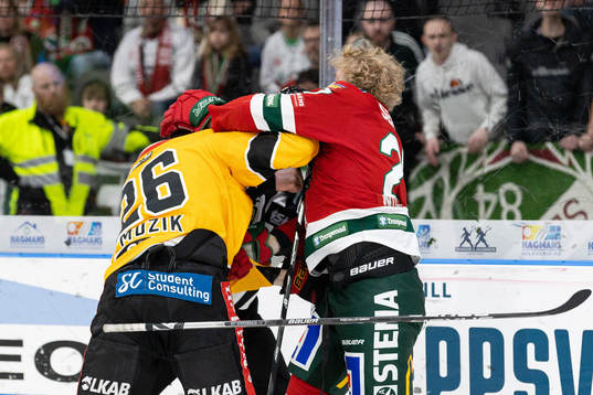 Bråk mellan Luleås Radek Muzik och Frölundas Karl