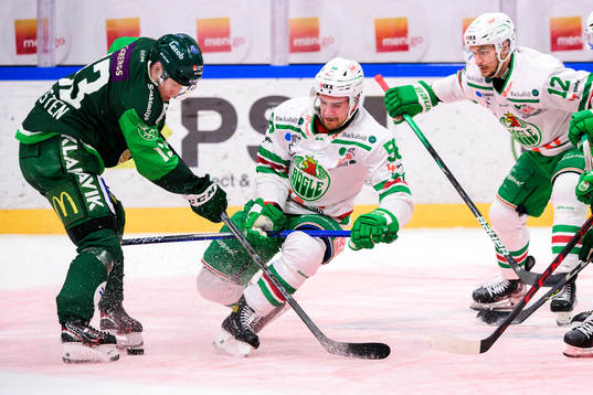 Färjestads Daniel Viksten och Rögles Ryan McKiernan