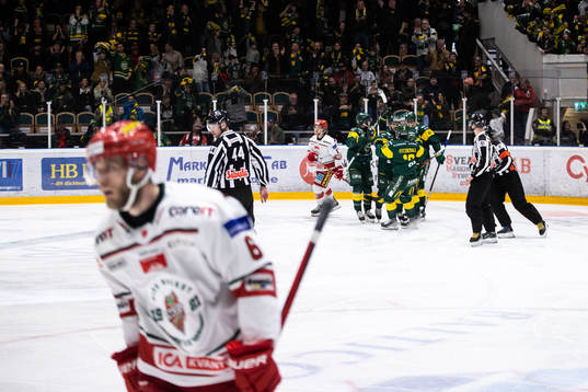 Björklövens spelare jublar