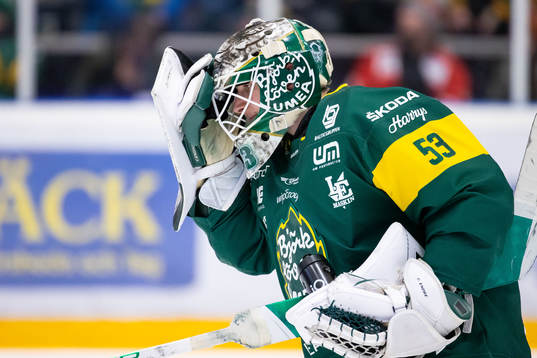 Björklövens målvakt Claes Endre