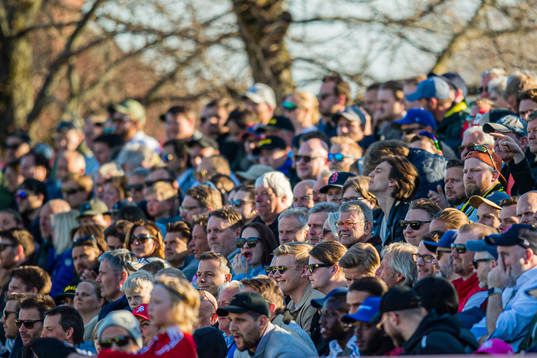 Spectators in the stands