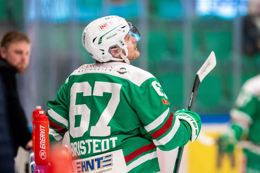 Rögles Leon Bristedt