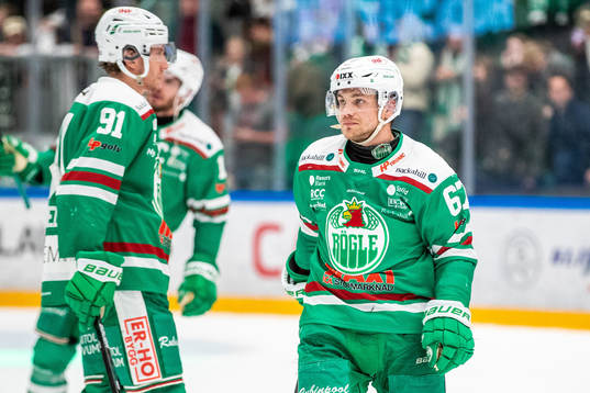 Rögles Leon Bristedt