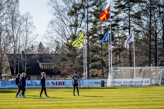 Djurgårdens spelare på gräsmattan