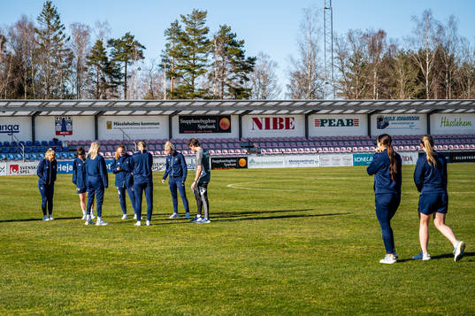 Djurgårdens spelare på gräsmattan