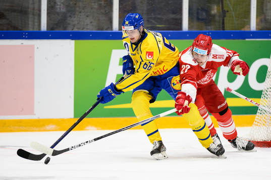 Nils Åman of Sweden and Nikolaj Krag-Christensen of Denmark