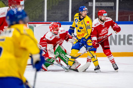 Mathias Bromé of Sweden and goalkeeper Sebastian Dahm and