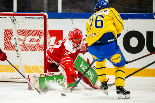 goalkeeper Sebastian Dahm of Denmark