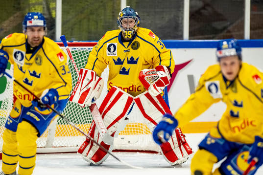 goalkeeper Oscar Dansk of Sweden