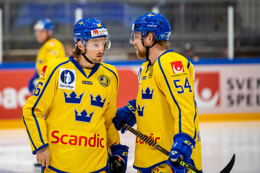 Mathias Bromé and Anton Lindholm of Sweden