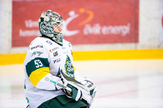 Björklövens målvakt Claes Endre