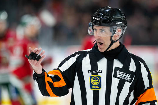 Domare Linus Öhlund