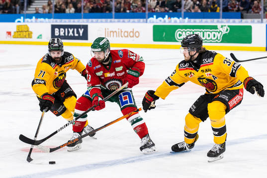Luleås Linus Fröberg och Oscar Engsund