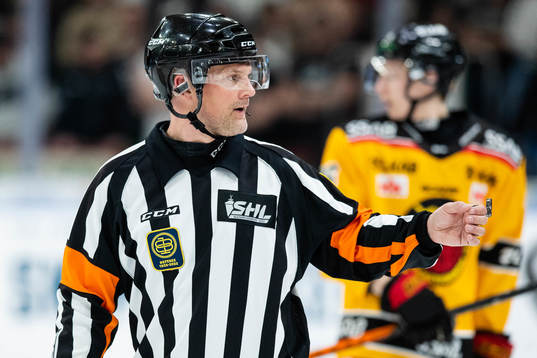 Domare Mikael Nord