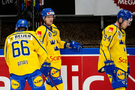 Carl-Johan Lerby of Sweden