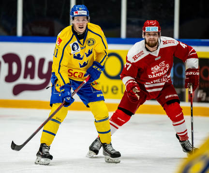 Henrik Törnqvist of Sweden