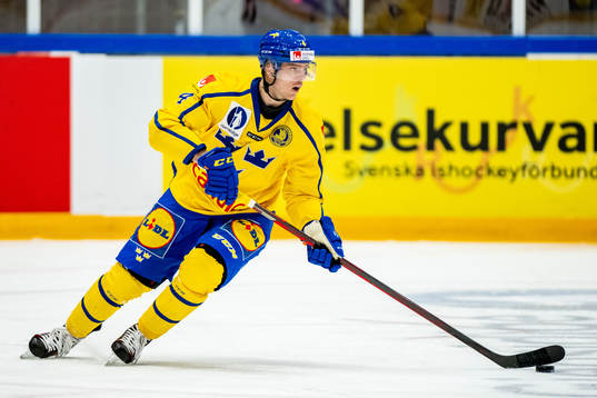Carl-Johan Lerby of Sweden