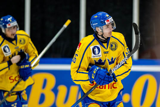 Nils Åman of Sweden celebrates 1-1