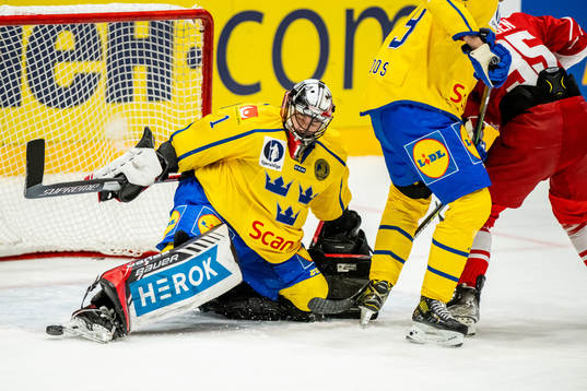 goalkeeper Jhonas Enroth of Sweden