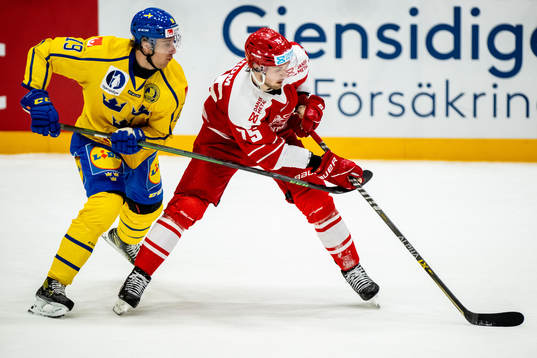 Filip Roos of Sweden  and Mathias From of Denmark