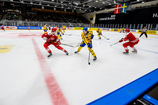 Malte Setkov of Denmark and Henrik Törnqvist of Sweden
