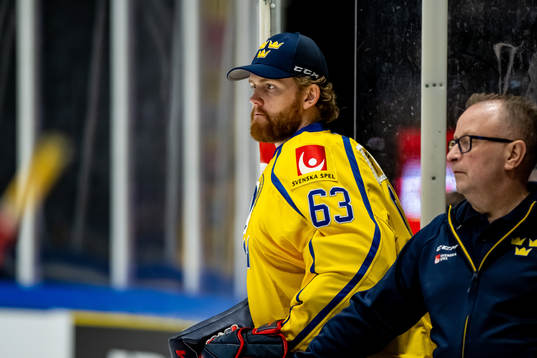 goalkeeper Marcus Högberg of Sweden