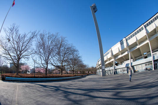 Bänk utanför Malmö Stadion